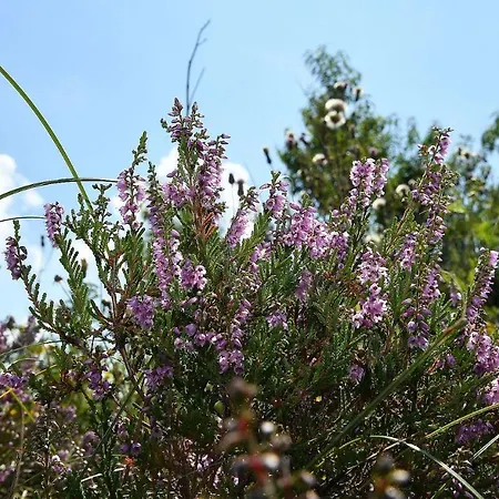 Апартаменты Strandhochhaus Sb13