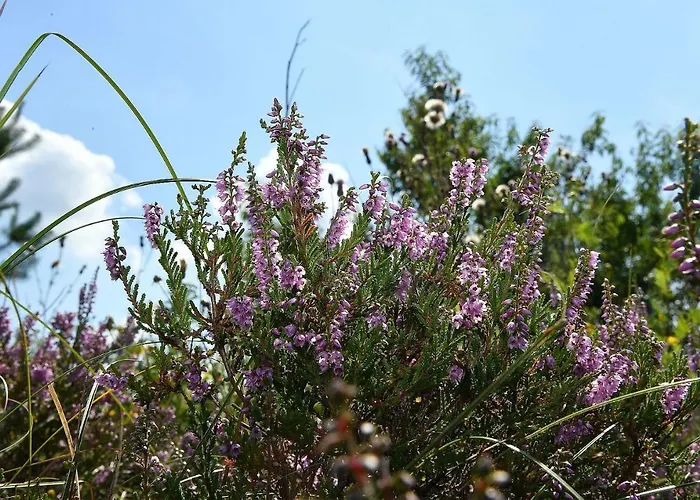 公寓 Strandhochhaus Sb13